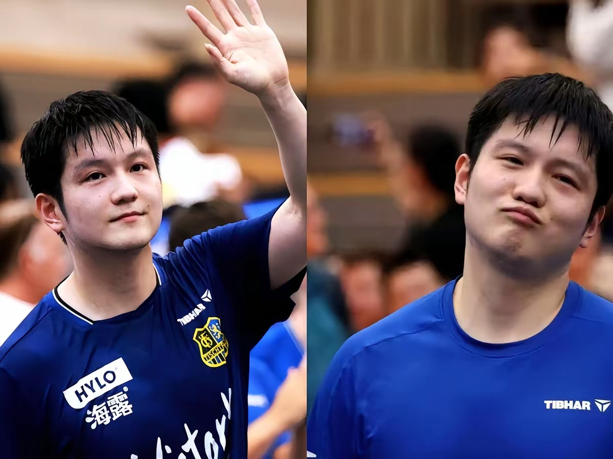 德国队险胜奥地利队，樊振东扛起全队